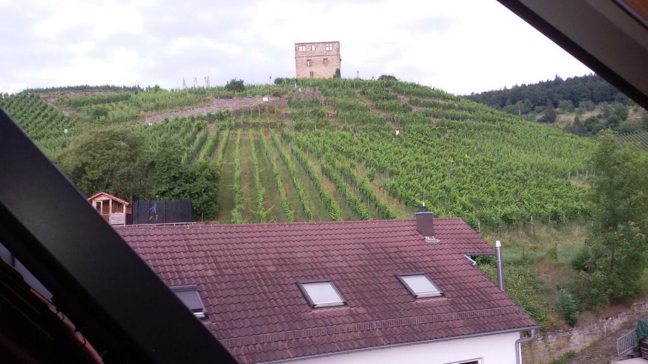 Giebelzimmer Mit Weinbergblick 스테텐 외부 사진