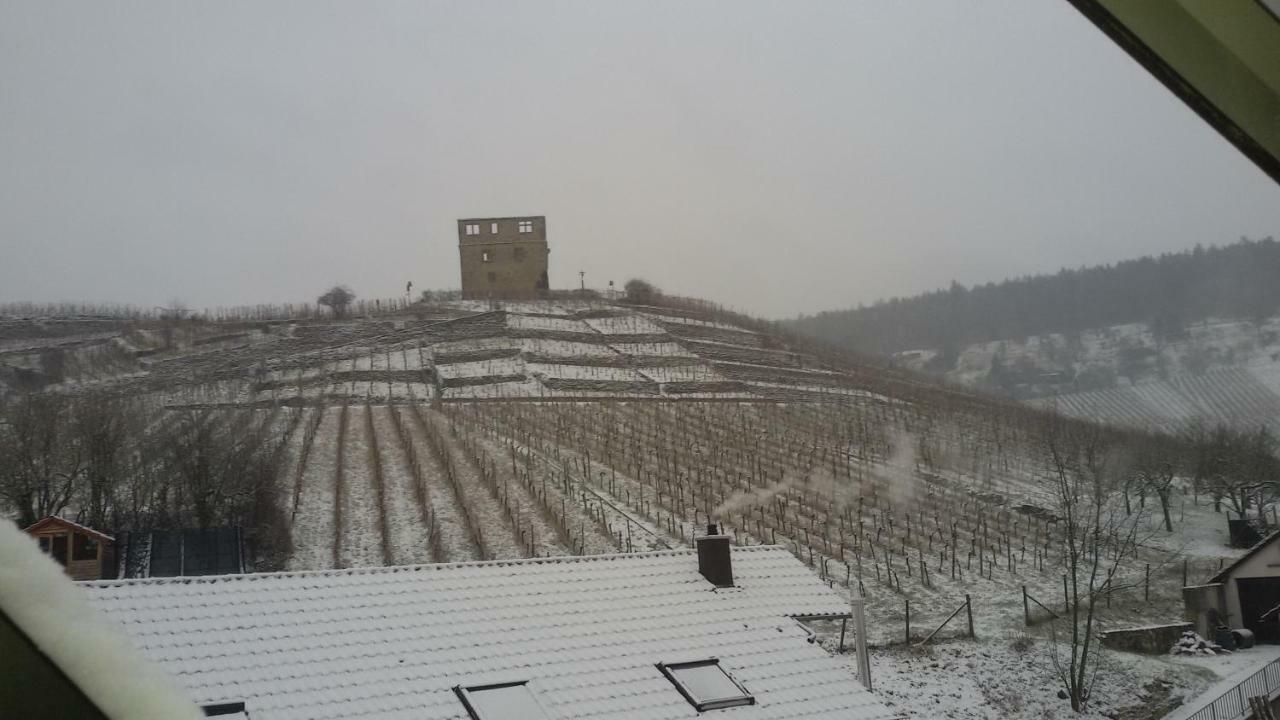 Giebelzimmer Mit Weinbergblick 스테텐 외부 사진